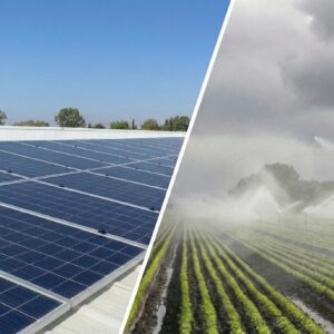 שירות שדה - שעת עבודה ללקוחות טל נטפים ברמה בע"מ